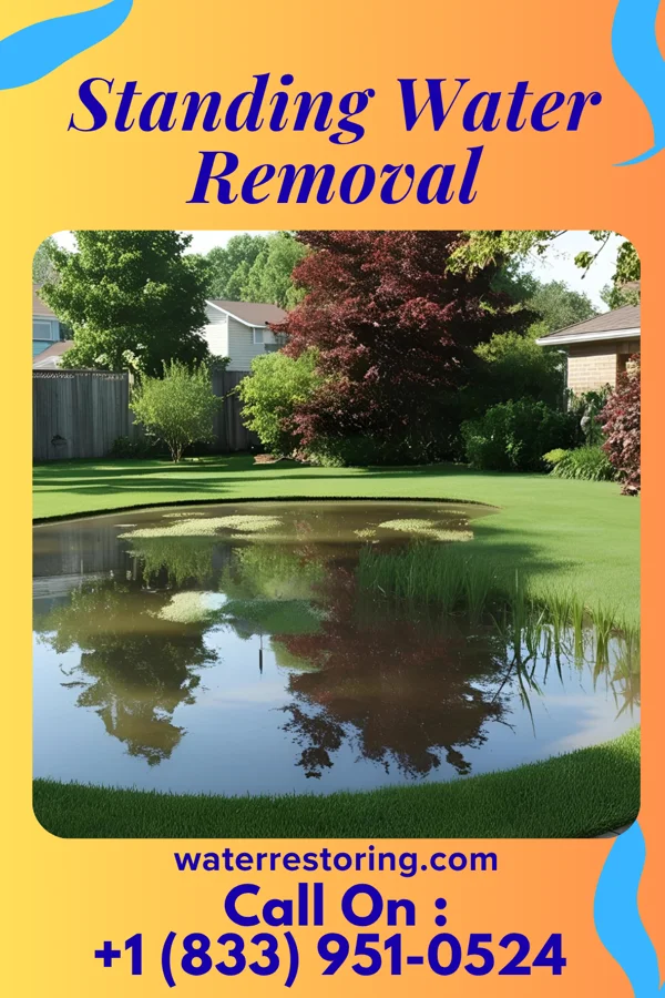 Standing Water Removal in Leland, IA